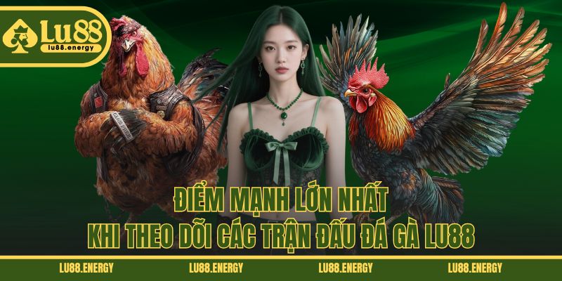 Điểm mạnh lớn nhất khi theo dõi các trận đấu đá gà LU88