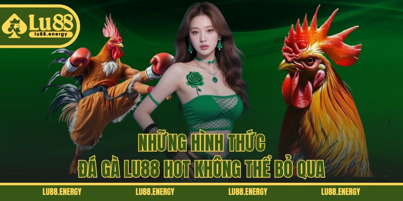 Những hình thức đá gà LU88 hot không thể bỏ qua